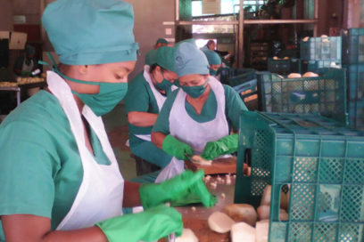 Consumir alimentos seguros es un derecho humano