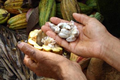 El plan participativo y flexible que asegura el movimiento sindical