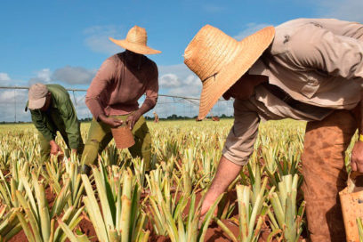 EconoMía: Polos productivos (+ PDF)