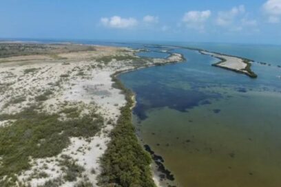 Para que la Vida se imponga al Cambio Climático