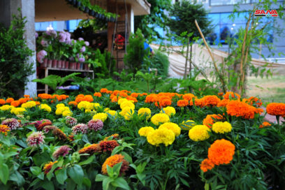 Damasco: Jardín Internacional de Flores