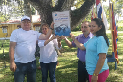 A la sombra de los cedros