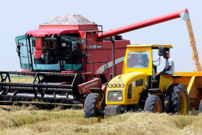 Producción de alimentos: prioridad del Gobierno cubano