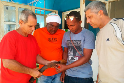 La termoeléctrica Guiteras siempre responde (+ Fotos)