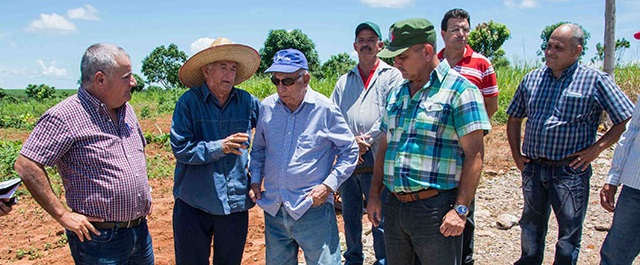 Machado Ventura