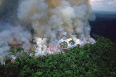 El mundo reclama defender la Amazonía