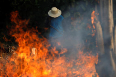 Incendios en selva amazónica generan alarma en la ONU (+Fotos y video)