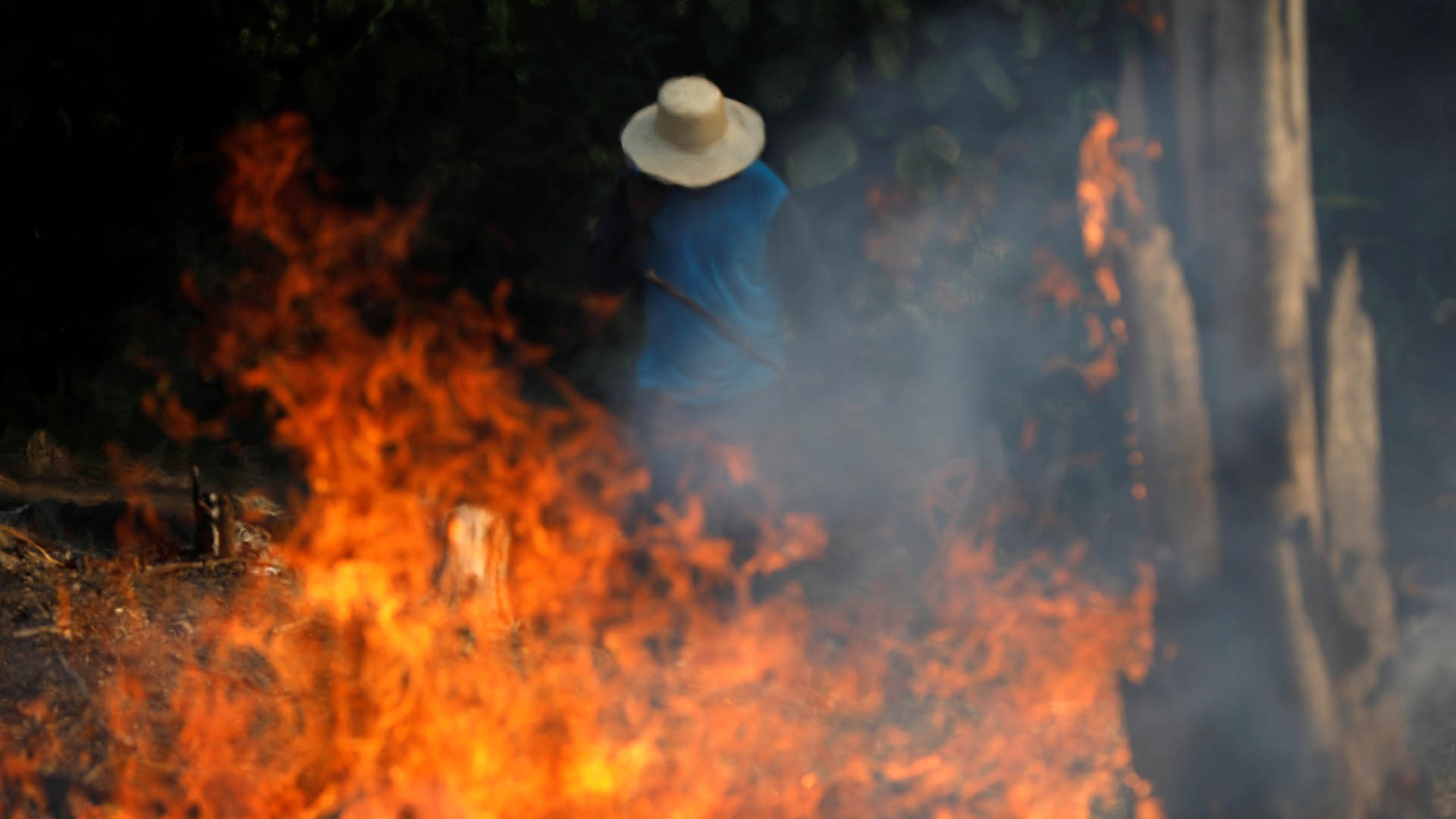 incendio en Amazonía brasileña