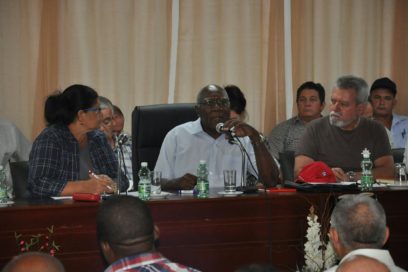 Evalúa Valdés Mesa programas agropecuarios en Artemisa