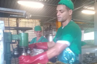La tajada exclusiva del reino frutícola (+Fotos)