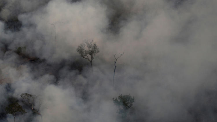 incendio en Amazonía brasileña