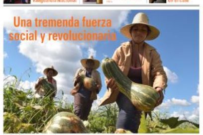 Lunes 19 de agosto de 2019