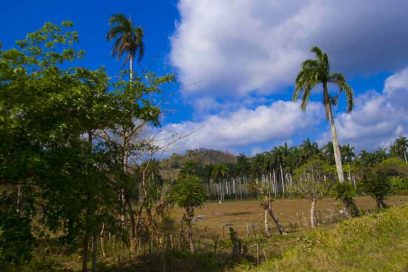 Connecting Landscapes Project Advances in Cuban Mountain Range