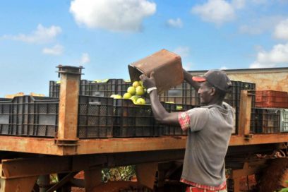 ¿Qué propone la nueva reestructuración de Acopio? (+ Gaceta Oficial)