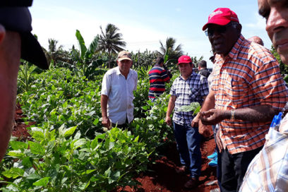 Realiza Salvador Valdés chequeo de indicadores productivos en Mayabeque