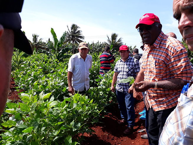 Foto: @PresidenciaCuba