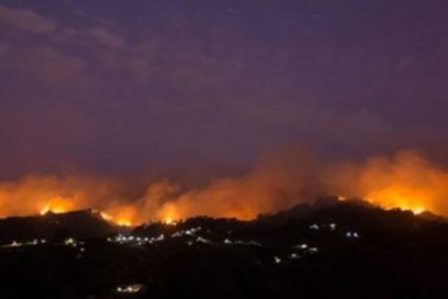 Brasil: Central sindical denuncia política de destrucción ambiental