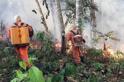 Infierno amazónico (+ infografía)