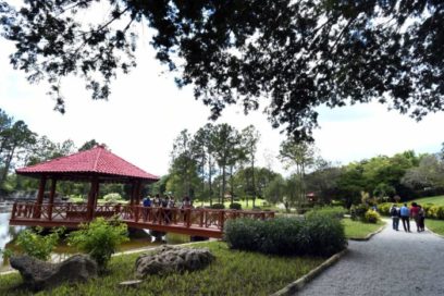 El Jardín de los Paseos vuelve a brillar (+ Fotos)