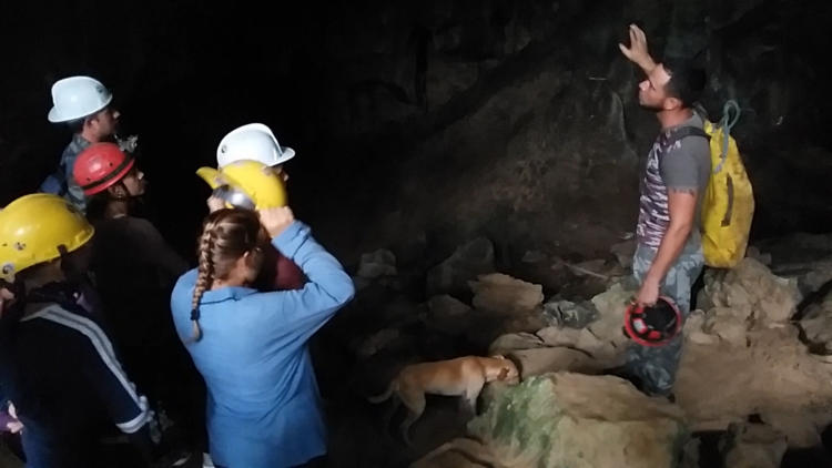 La Gran Caverna de Santo Tomás puede ser visitada en recorridos guiados por especialistas del Centro. Foto: Reno Massola
