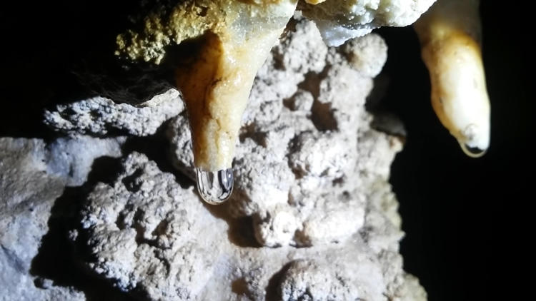 En su interior puede observarse una amplia gama de formaciones cársicas como las estalactitas, columnas o helictitas, entre las más conocidas. Foto: Reno Massola