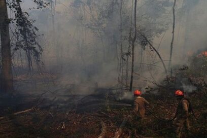 En Colombia, cumbre presidencial por la Amazonía