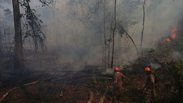 brasil-amazonia-reuters-compressor_x1x.jpg_1718483347