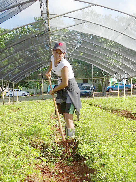 Diversidad de plantas y limpieza del área. Foto: Ana Margarita González