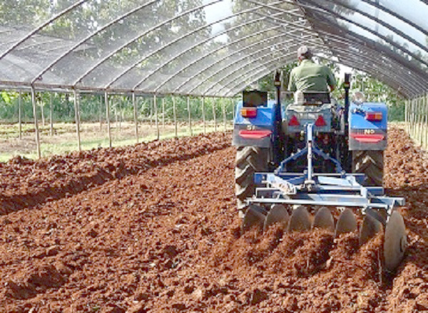 Preparación de suelos para las siembras. Foto: Ana Margarita González