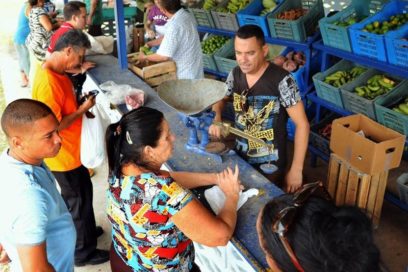 Trabajan en Holguín para garantizar el abastecimiento de productos agropecuarios