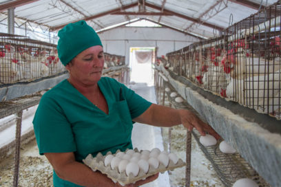 “Inéditas” vías que trasladan alimentos