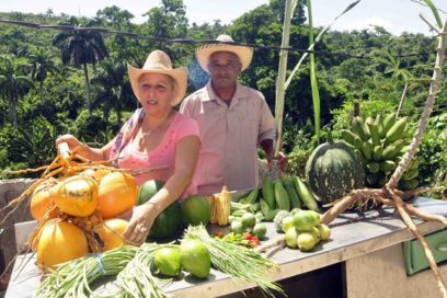 Las mujeres son la clave para lograr un mundo sin hambre ni pobreza (+Fotos)