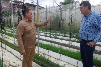 En Venezuela celebran Día del Trabajador Agropecuario