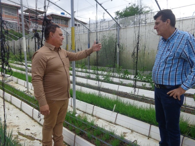 El ingeniero agrónomo Rafael Rodríguez (a la izquierda), coordinador nacional de la Misión Agroalimentaria, y Pablo López, asesor técnico productivo, trazan estrategias. (Guía: EnVenezuela1) Foto: Jorge Pérez