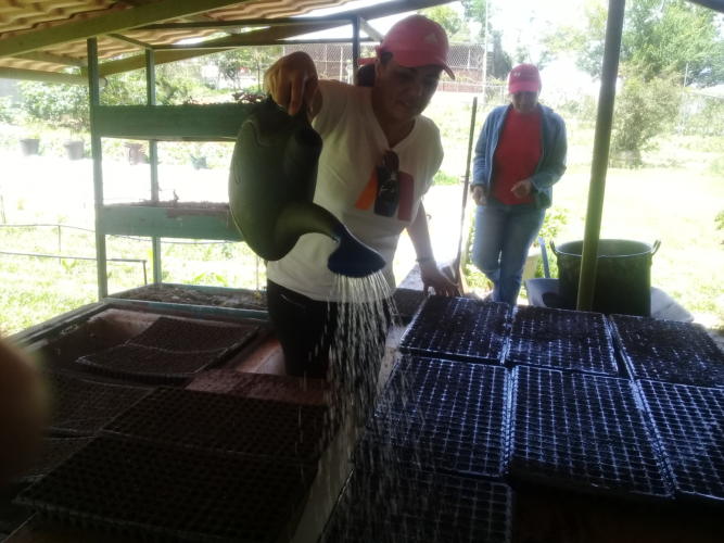 En el Núcleo de Desarrollo Endógeno Fabricio Ojeda asesores cubanos y trabajadores venezolanos compartieron en trabajo voluntario. (Guía: EnVenezuela2) Foto: Elvis Gil