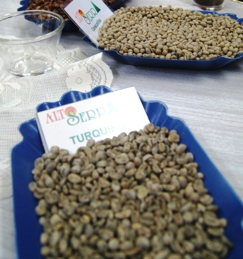 La Empresa Procesadora de Café Asdrúbal López, tiene una rica experiencia en el tratamiento integral del aromático grano oro que prestigia a la Isla fuera de sus fronteras. (Foto: ACN)