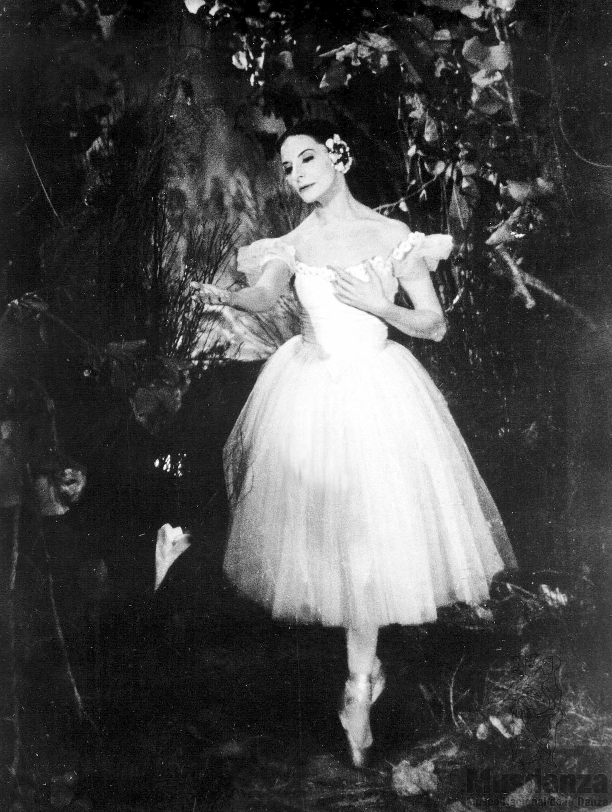 Ella nació para que Giselle no muriera, dijo Arnold Haskell. Foto: Cortesía del Museo Nacional de la Danza