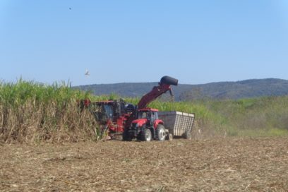 UBPC Alfonso Escalante: “Hacer a la caña lo que hay que hacerle”