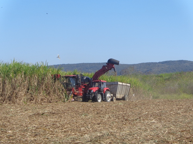 Vista de la combinada cañera entregada por el grupo Azcuba a la UBPC Alfonso Escalante. Foto: Adriana Rojas Preval