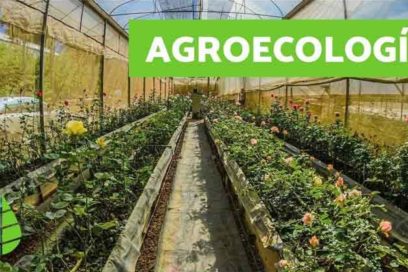 Resaltan alcance de cita internacional sobre agroecología