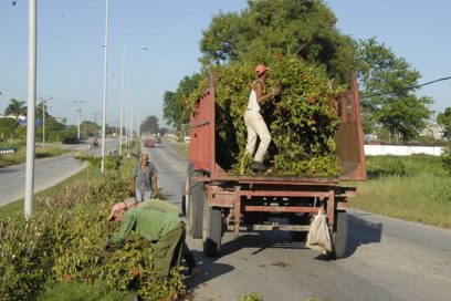 Comunales aporta  a la reducción energética