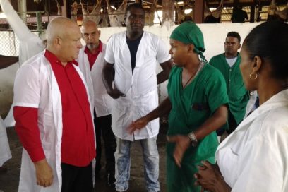 Insta Tapia Fonseca a elevar y diversificar producciones