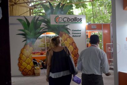 Carbón DCballos: Medalla de Oro en FIHAV 2019 (+Fotos)