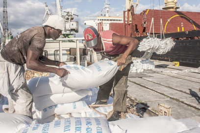 Mucho que hacer en el final del año (+ Video)