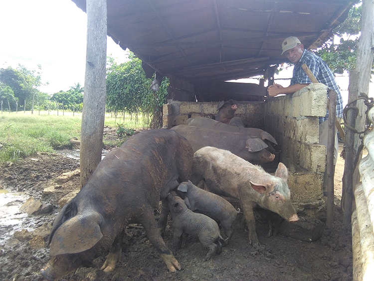 Foto: José Luis Martínez Alejo