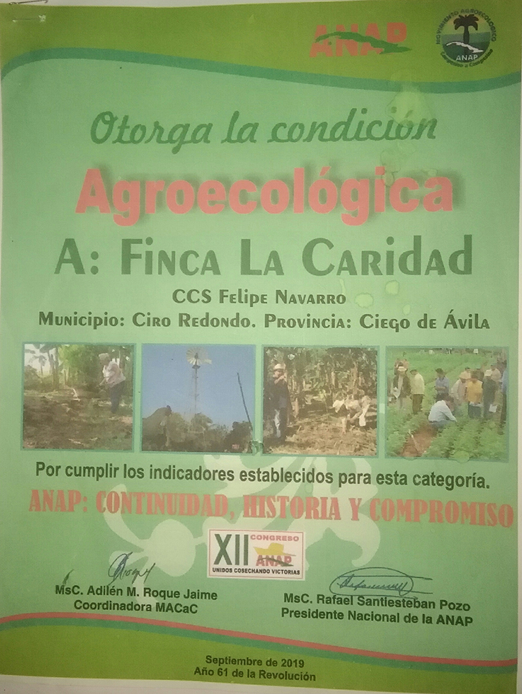 Foto: José Luis Martínez Alejo