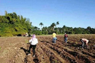 Jornadas de trabajo productivo, aporte vital a la economía