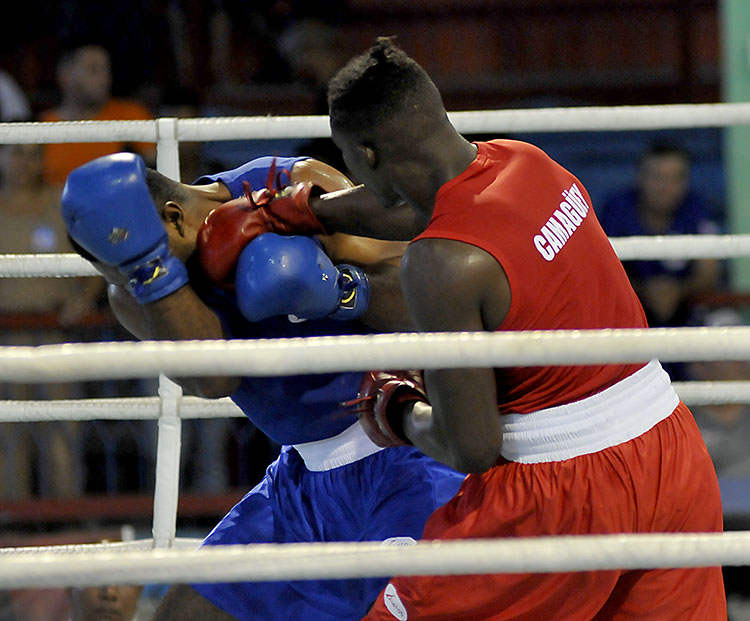 Semifinal del Torneo Playa Girón de Boxeo 2019. Foto: José Raúl Rodríguez Robleda