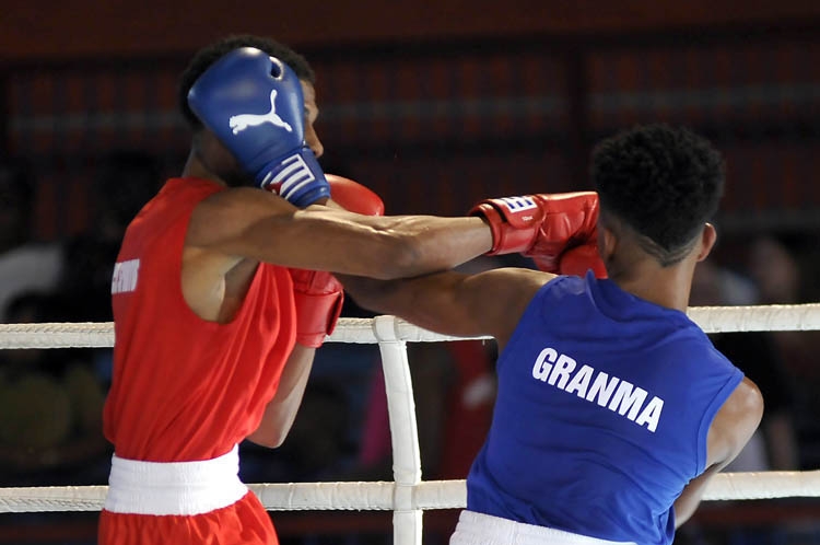 Otra jornada más en el Girón de boxeo. Foto: José Raúl Rodríguez Robleda