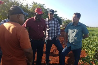 Recorre vicepresidente cubano áreas productivas en Artemisa